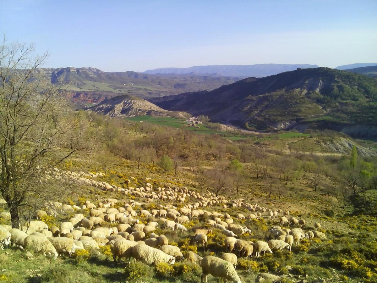 Casa Bernat Villa Aren Dış mekan fotoğraf